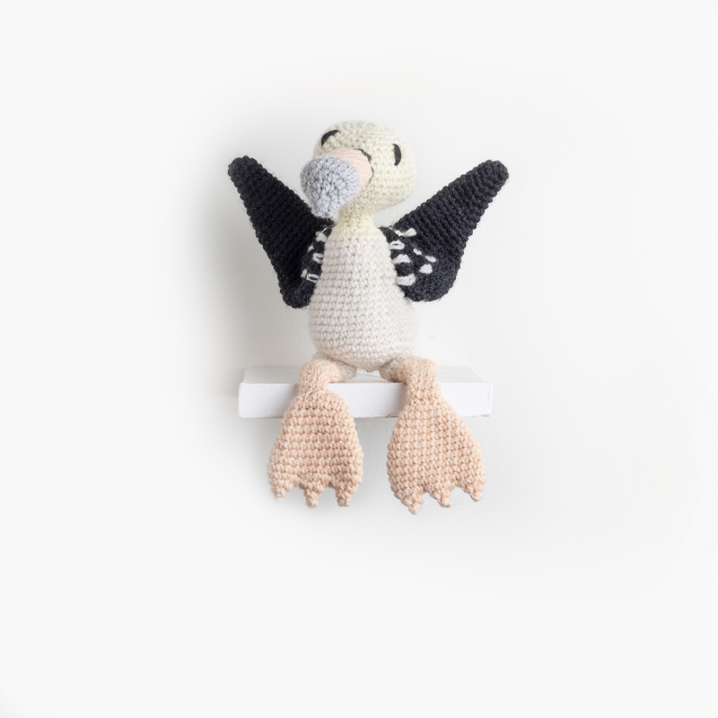 Viviene the Coot